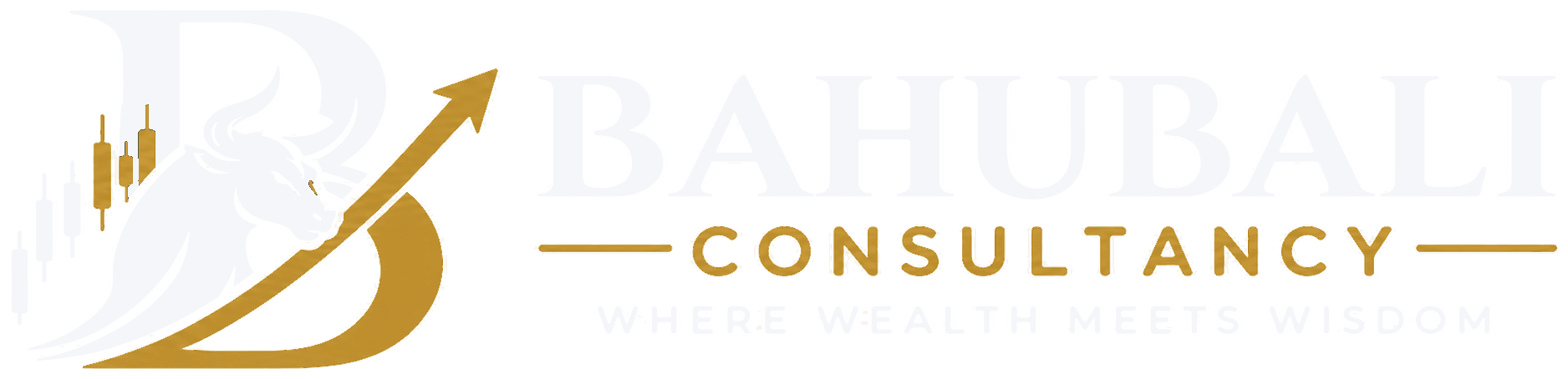 BAHUBALICONSULTANCY
